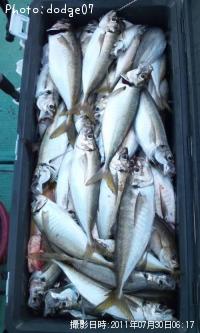 ������������������¾