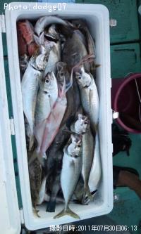 ������������������¾