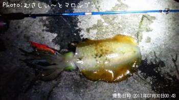 �����ꥤ��