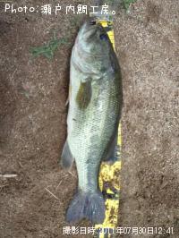 �֥�å��Х�