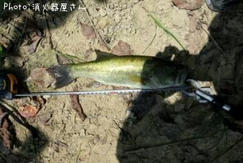 ¥Ö¥é¥Ã¥¯¥Ð¥¹