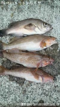 ��Х�ȥ����ʥ�