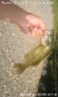 �֥�å��Х�