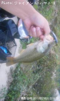 �֥�å��Х�