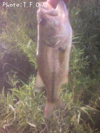 �֥�å��Х�