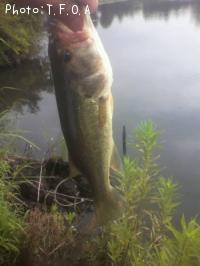 �֥�å��Х�