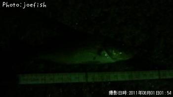 ¥Ö¥é¥Ã¥¯¥Ð¥¹