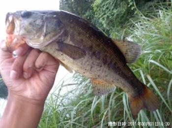 �֥�å��Х�