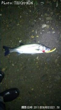 �����Х�