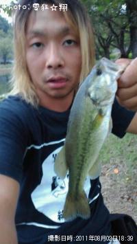 ¥Ö¥é¥Ã¥¯¥Ð¥¹