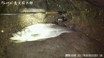 �ҥ饹����