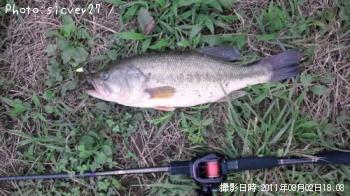 ¥Ö¥é¥Ã¥¯¥Ð¥¹