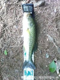 �֥�å��Х�