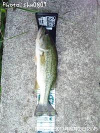 �֥�å��Х�