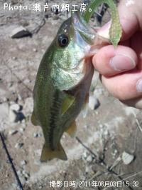 �֥�å��Х�