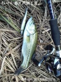 ¥Ö¥é¥Ã¥¯¥Ð¥¹