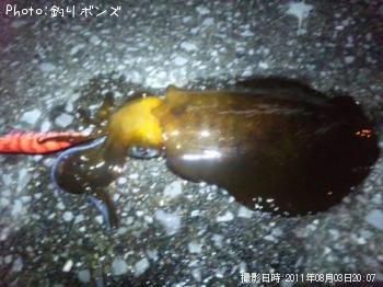 �����ꥤ��