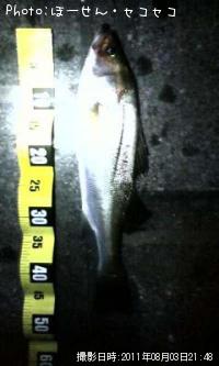 �����Х�