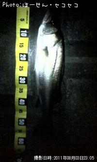 �����Х�