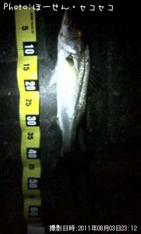 �����Х�