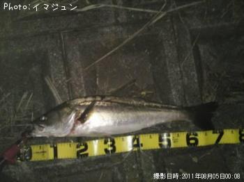 �����Х�