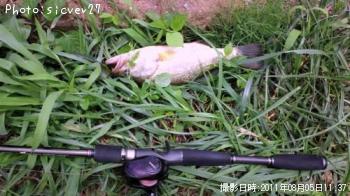 �֥�å��Х�