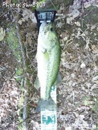 ¥Ö¥é¥Ã¥¯¥Ð¥¹