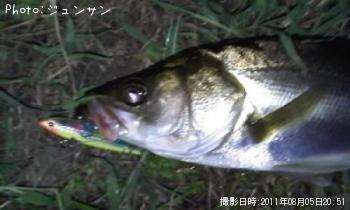 �����Х�