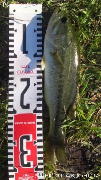 ¥Ö¥é¥Ã¥¯¥Ð¥¹