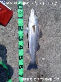 �����Х�