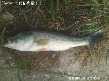 �֥�å��Х�