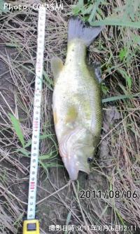 �֥�å��Х�