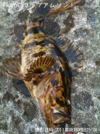 �����Υ���Х�