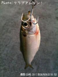 ���Υ���