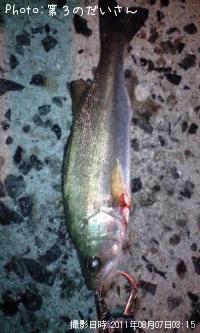 �����Х�