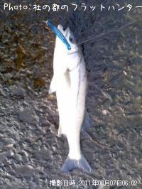 �����Х�