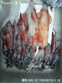 ���󥵥�������