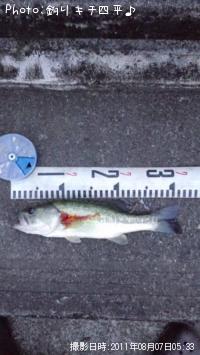 �֥�å��Х�