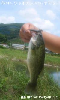 ¥Ö¥é¥Ã¥¯¥Ð¥¹