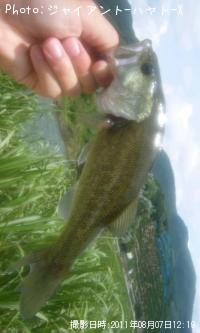 �֥�å��Х�