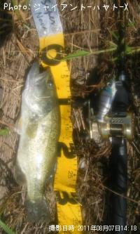 �֥�å��Х�