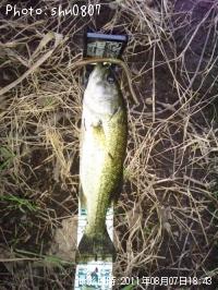 ¥Ö¥é¥Ã¥¯¥Ð¥¹