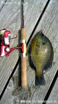 �֥롼����