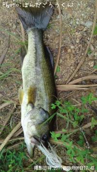 ¥Ö¥é¥Ã¥¯¥Ð¥¹