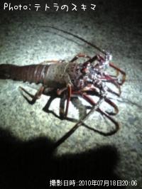 ������Ϸ