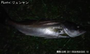 �����Х�