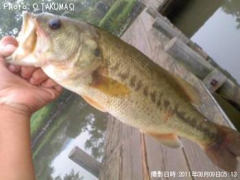 ¥Ö¥é¥Ã¥¯¥Ð¥¹