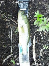 ¥Ö¥é¥Ã¥¯¥Ð¥¹