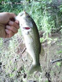 �֥�å��Х�