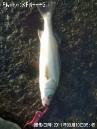 �����Х�